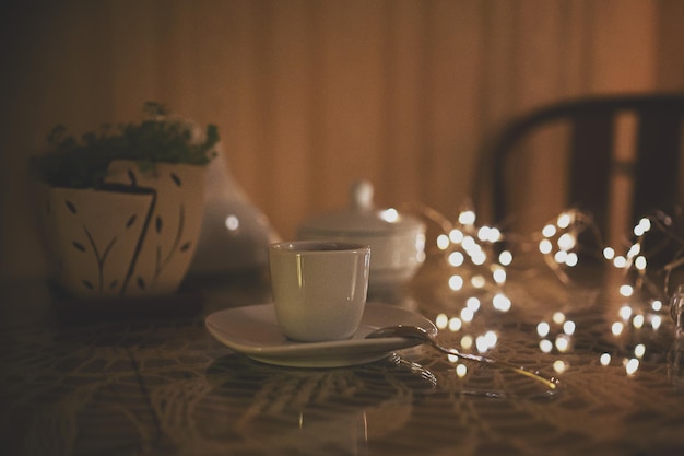 Cameron Highlands tea plantation with morning mist